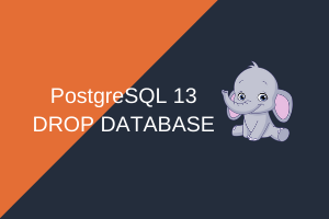 postgresql-13-drop-database
