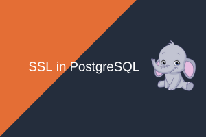 Read more about the article Implementing SSL for PostgreSQL: A Step-by-Step Guide